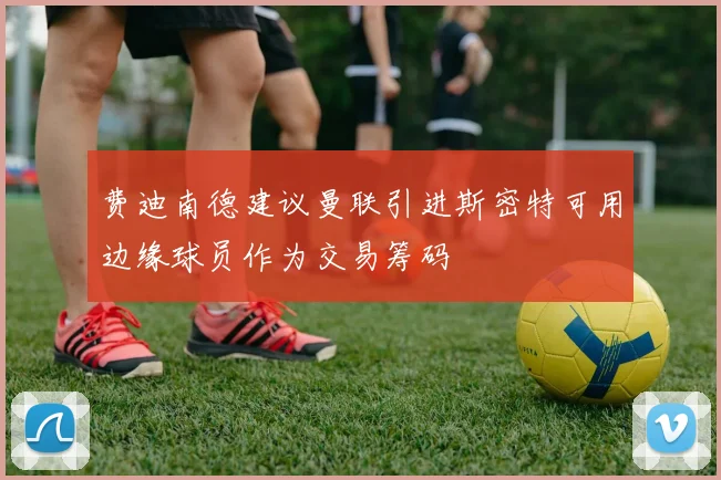费迪南德建议曼联引进斯密特可用边缘球员作为交易筹码