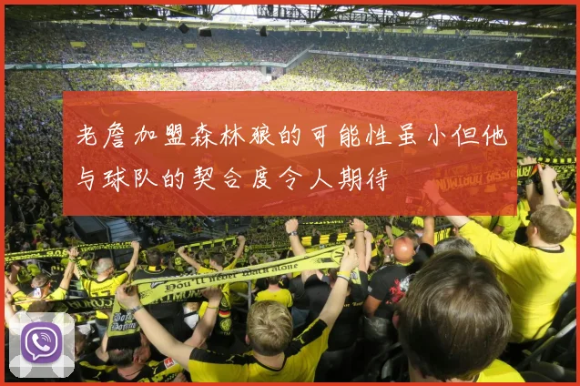老詹加盟森林狼的可能性虽小但他与球队的契合度令人期待